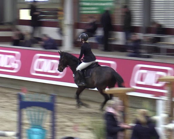 Reitturnier Marl, Reithalle Rohmann 2023