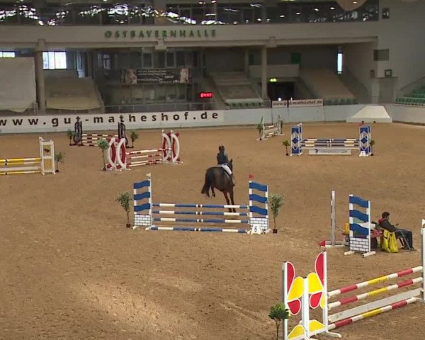 Reitturnier Kreuth 2023