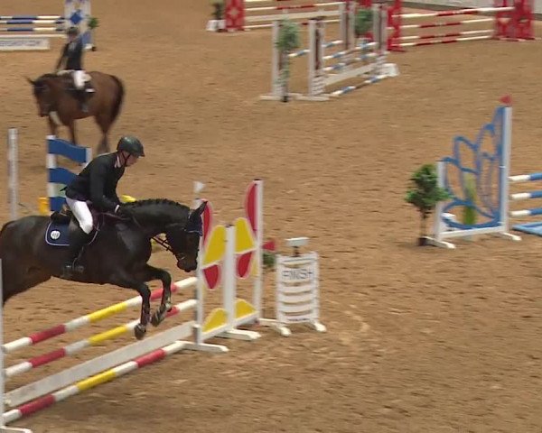Reitturnier Kreuth 2023