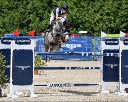 jumper Contarini 4 (Hanoverian, 2016, from Cornet's Boy RM)