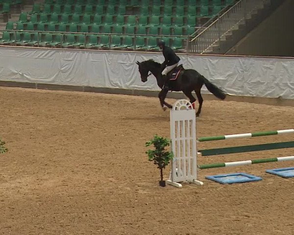 Reitturnier Kreuth 2023