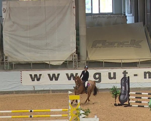 Reitturnier Kreuth 2023