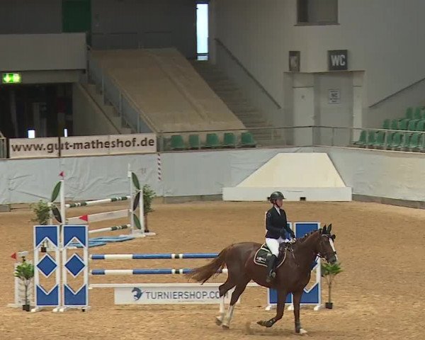 Reitturnier Kreuth 2023