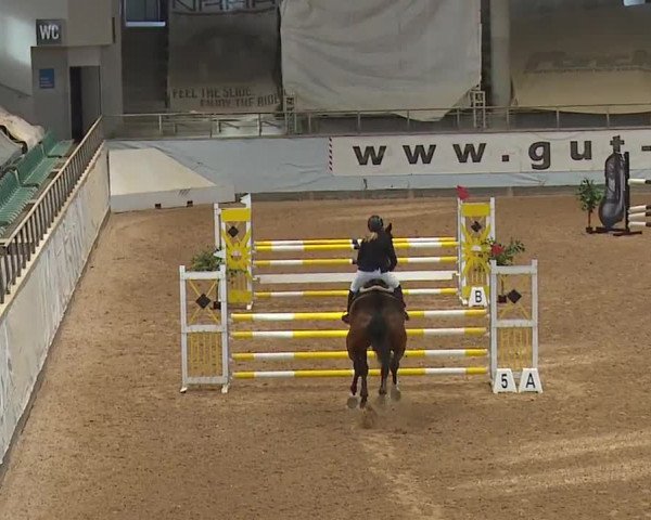 Reitturnier Kreuth 2023