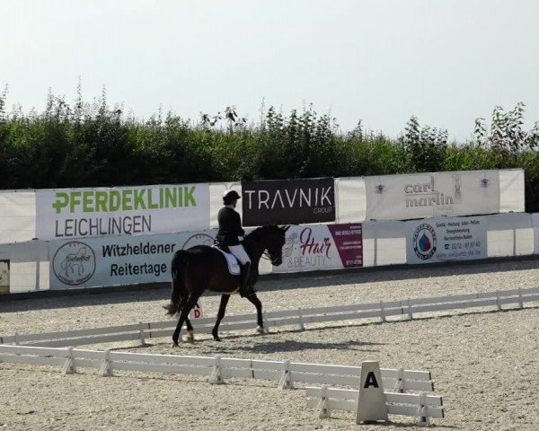 Reitturnier Leichlingen-Witzhelden 2021