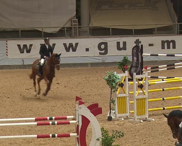 Reitturnier Kreuth 2023