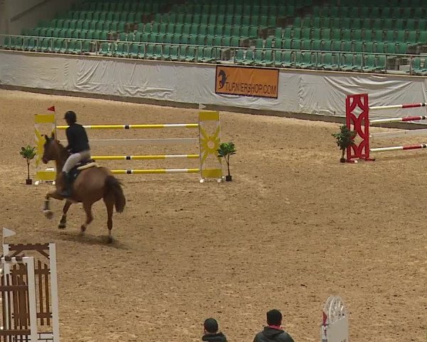 Reitturnier Kreuth 2023