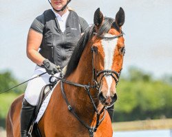 jumper Call me Conny (Holsteiner, 2017, from Cannavaru)