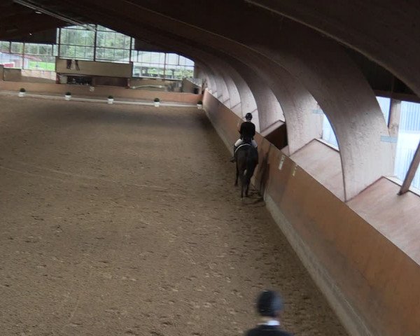 Reitturnier Ratingen-Volkardey 2023
