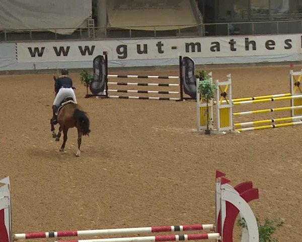 Reitturnier Kreuth 2023