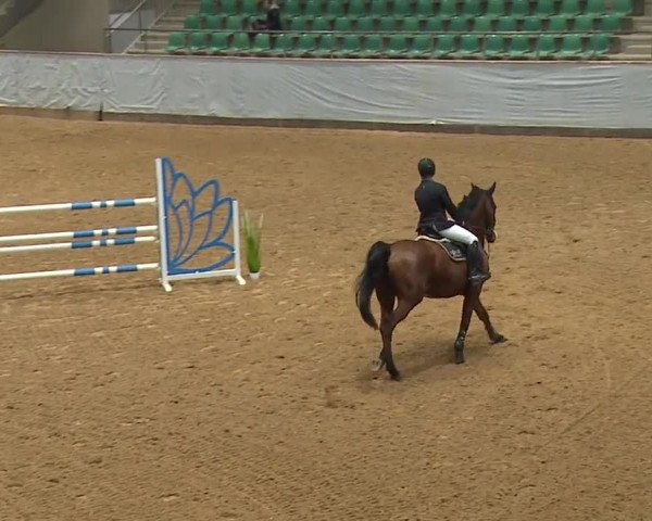 Reitturnier Kreuth 2023