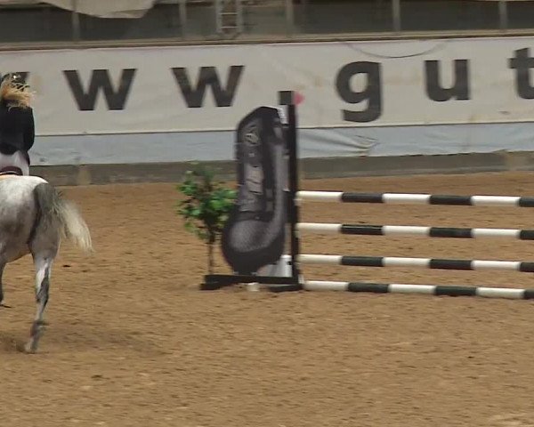 Reitturnier Kreuth 2023