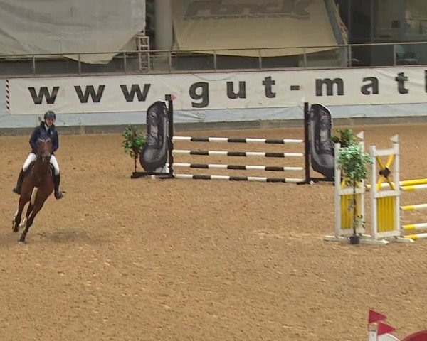 Reitturnier Kreuth 2023