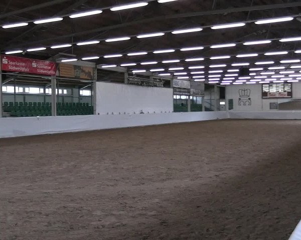 Reitturnier Zweibrücken-Landgestüt / Halle 2023