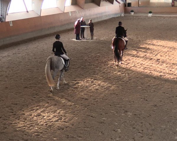 Reitturnier Ratingen-Volkardey 2023