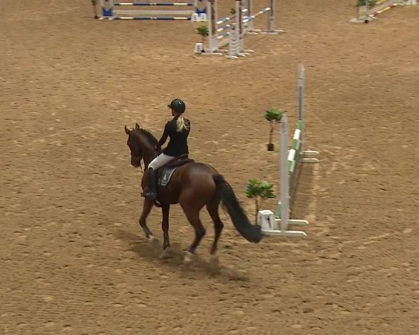 Reitturnier Kreuth 2023