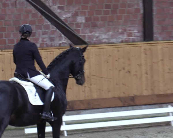 Reitturnier Hamburg-Friedrichshulde/Sylva Kuhrt 2023