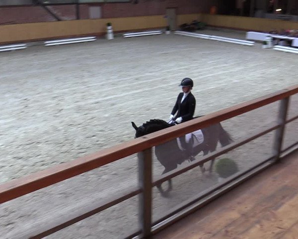 Reitturnier Hamburg-Friedrichshulde/Sylva Kuhrt 2023