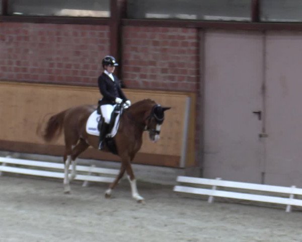 Reitturnier Hamburg-Friedrichshulde/Sylva Kuhrt 2023