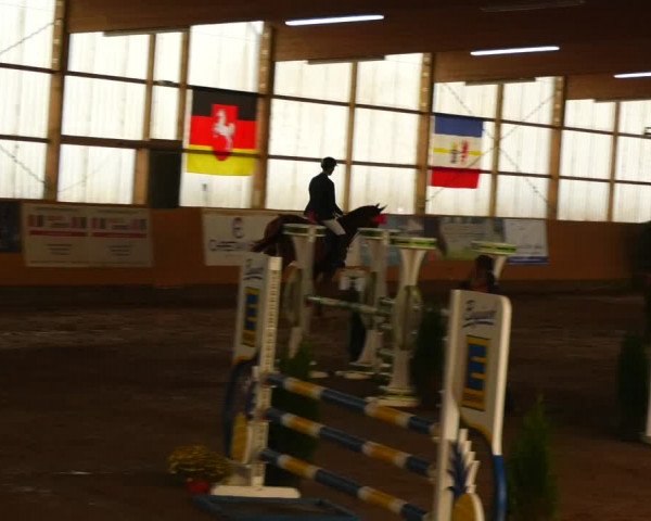 Reitturnier Pausin 2023