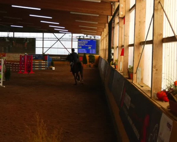 Reitturnier Pausin 2023