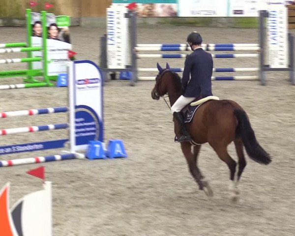 Reitturnier Großenwiehe 2023