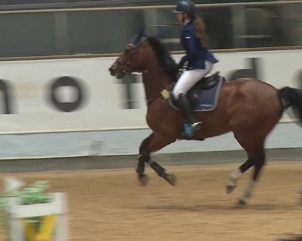 Reitturnier Kreuth 2023