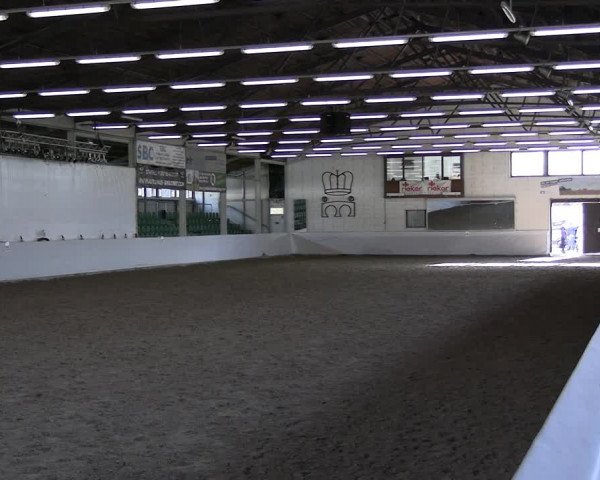 Reitturnier Zweibrücken-Landgestüt / Halle 2023