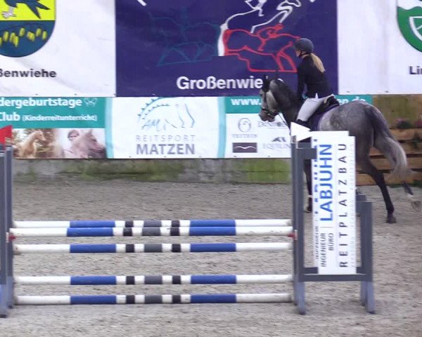 Reitturnier Großenwiehe 2023