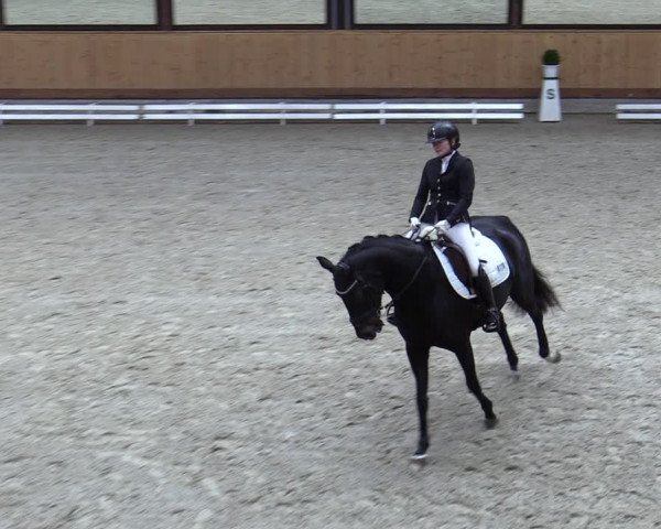 Reitturnier Hamburg-Friedrichshulde/Sylva Kuhrt 2023