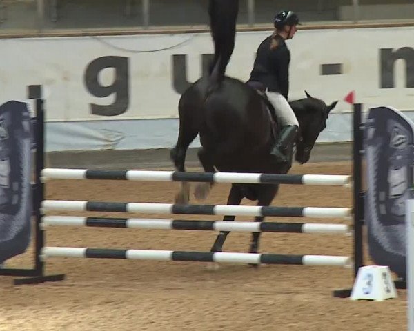 Reitturnier Kreuth 2023