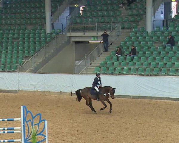 Reitturnier Kreuth 2023