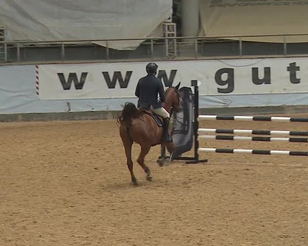 Reitturnier Kreuth 2023