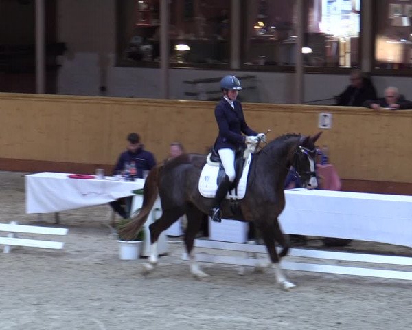 Reitturnier Hamburg-Friedrichshulde/Sylva Kuhrt 2023