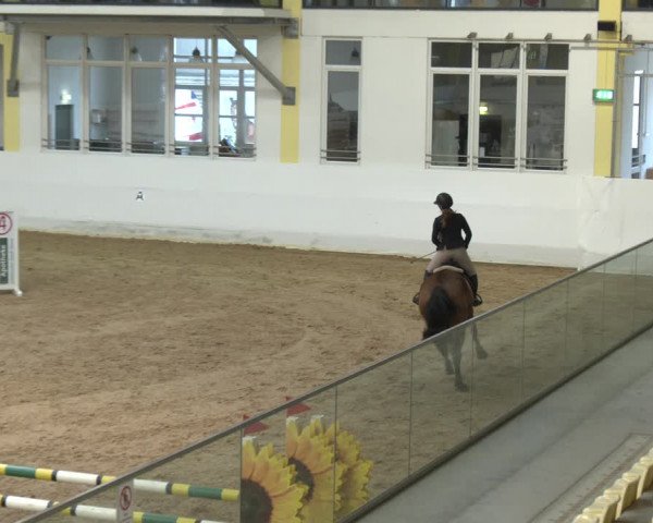 Springturnier Stadl-Paura 2023