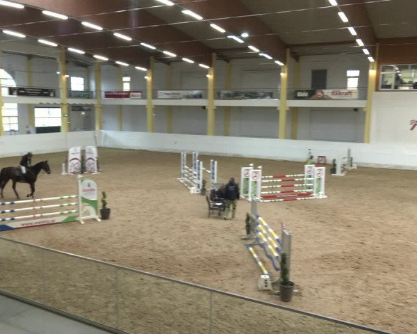 Springturnier Stadl-Paura 2023
