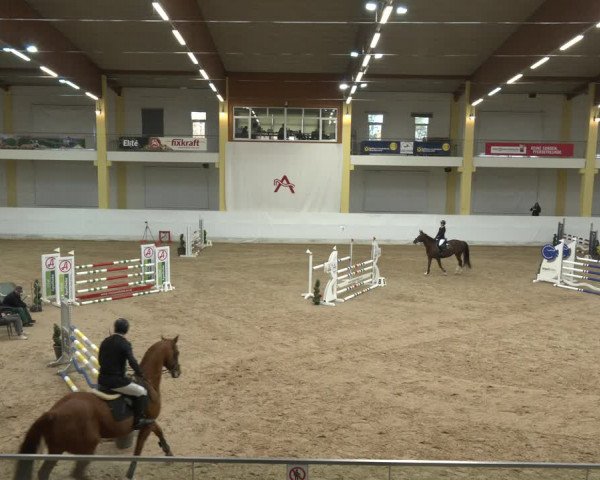 Springturnier Stadl-Paura 2023