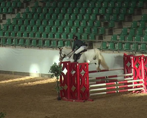 Reitturnier Kreuth 2023
