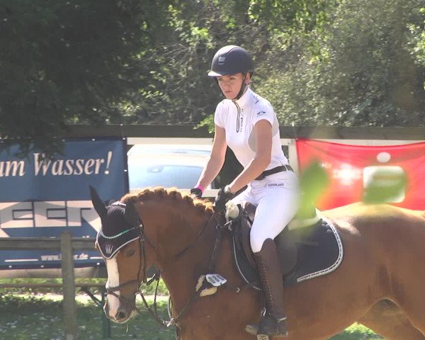 Springturnier Walldorf/Winterheck 2021