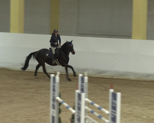 Springturnier Stadl-Paura 2023