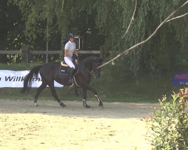 Springturnier Walldorf/Winterheck 2021