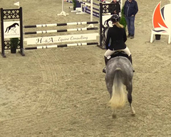 Rideturnering Großenwiehe 2023