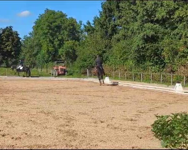 Reitturnier Ottobeuren/Schw. 2023