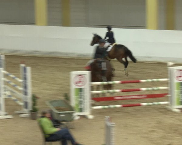 Springturnier Stadl-Paura 2023