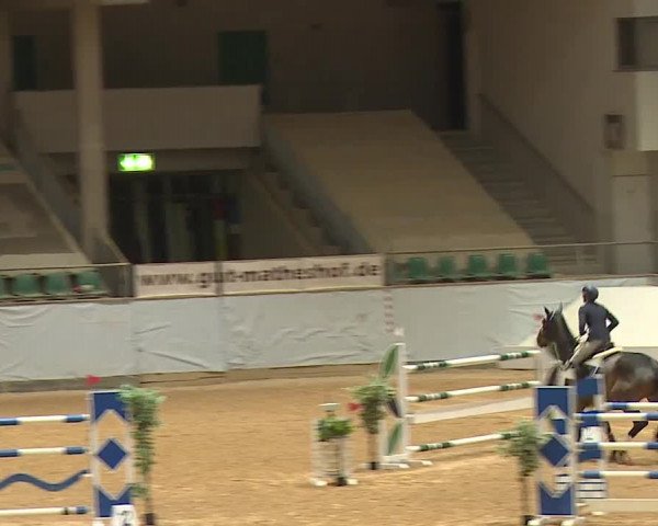 Reitturnier Kreuth 2023