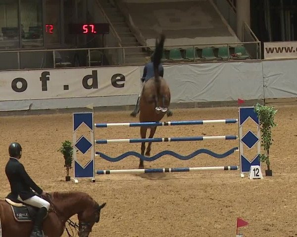 Reitturnier Kreuth 2023