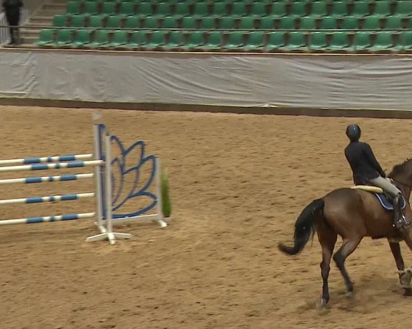 Reitturnier Kreuth 2023