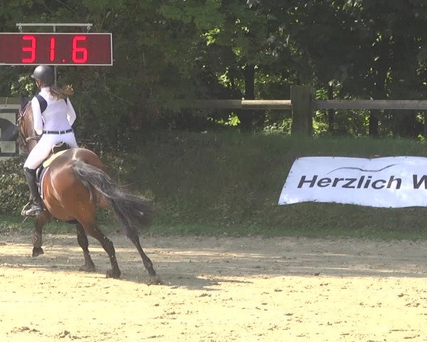 Springturnier Walldorf/Winterheck 2021