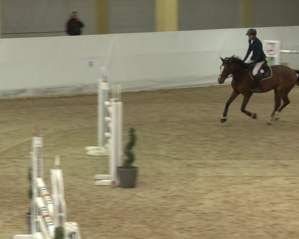 Springturnier Stadl-Paura 2023