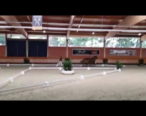 Video of K.C. Cayenne